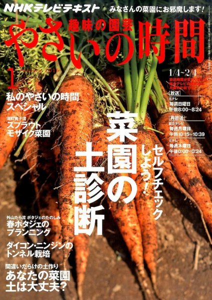 NHK 趣味の園芸 やさいの時間 2016年1月号 (発売日2015年12月21日) 表紙