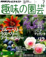 NHK 趣味の園芸 2015年7月号 表紙