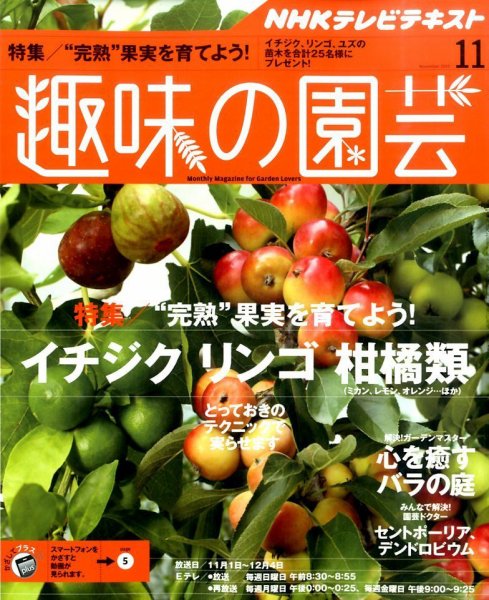 NHK 趣味の園芸 2015年11月号 (発売日2015年10月21日) 表紙