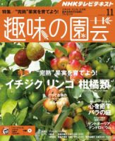NHK 趣味の園芸 2015年11月号 表紙