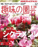 NHK 趣味の園芸 2015年12月号 表紙