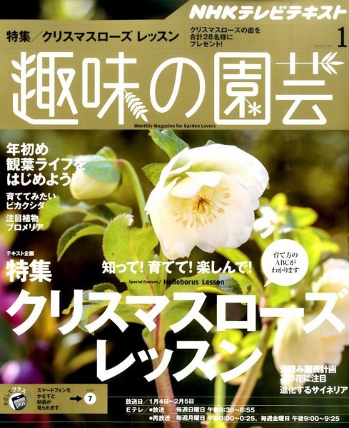 NHK 趣味の園芸 2016年1月号 (発売日2015年12月21日) 表紙