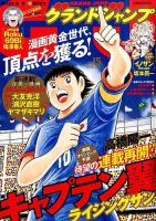 グランドジャンプ 2015年7/15号 表紙