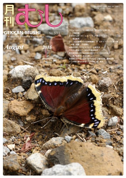 月刊むし 534 (発売日2015年07月21日) 表紙