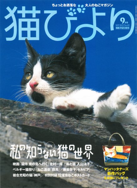 猫びより 83号 (発売日2015年08月12日) 表紙