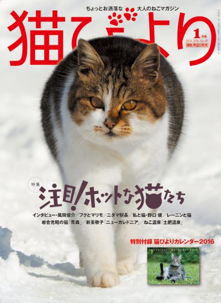 猫びより 85号 (発売日2015年12月12日) 表紙