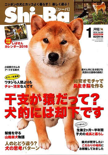 Shi Ba シーバ 16年1月号 発売日15年11月28日 雑誌 定期購読の予約はfujisan