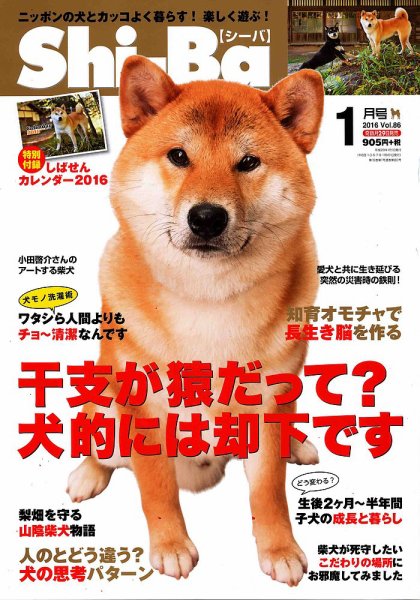 Shi-Ba(シーバ)　 2016年1月号 (発売日2015年11月28日) 表紙