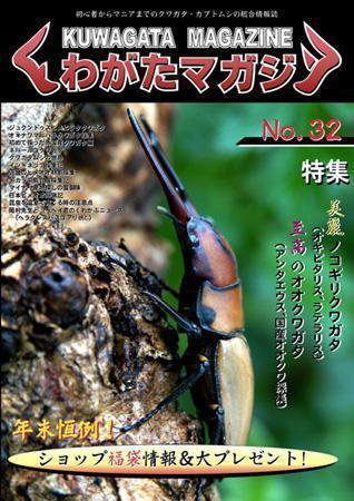 くわがたマガジン 32号 (発売日2006年11月30日) 表紙