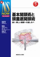新NS NOW No.3 表紙