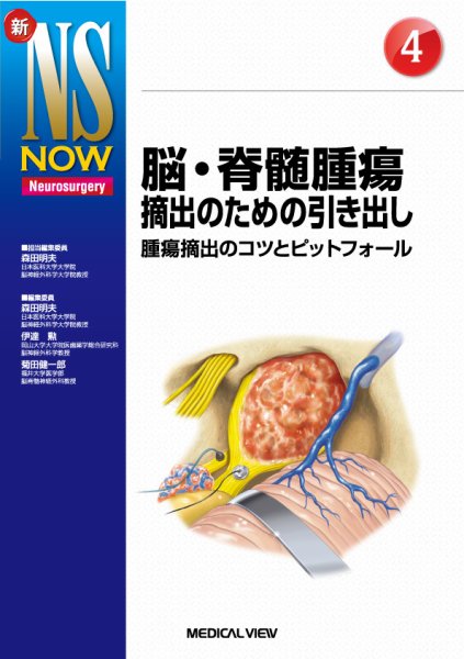 新NS NOW No.4 (発売日2015年11月28日) 表紙