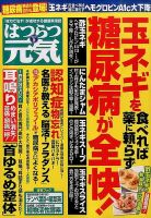 はつらつ元気 2015年9月号 (発売日2015年08月01日) 表紙