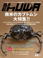 BE・KUWA（ビー・クワ）71号☆総力特集！日本のオオクワガタの
