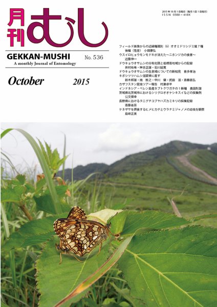 月刊むし 536 (発売日2015年09月23日) 表紙