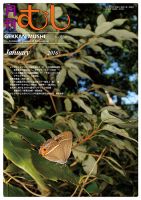 月刊むし 539 表紙