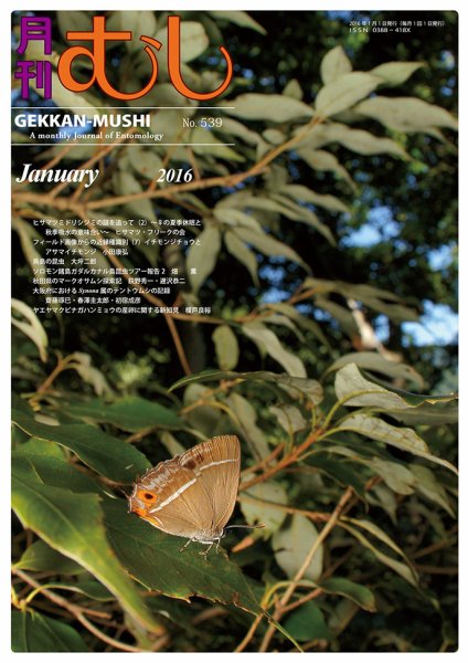 月刊むし 539 (発売日2015年12月22日) 表紙