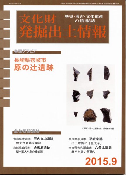 文化財発掘出土情報 9月号 (発売日2015年09月01日) 表紙