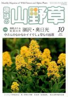 趣味の山野草のバックナンバー (3ページ目 45件表示) | 雑誌/定期購読