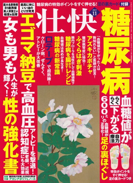 壮快 2015年11月号 (発売日2015年09月16日) 表紙