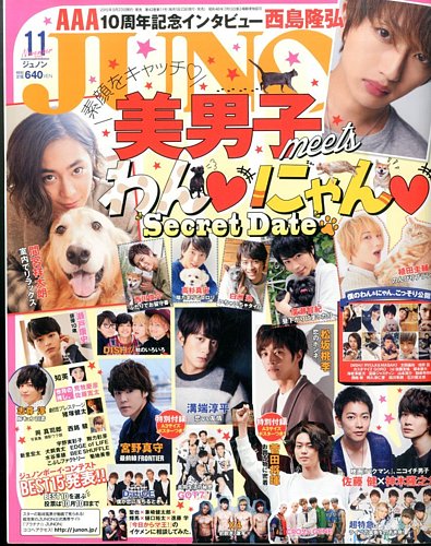 JUNON（ジュノン） 2015年11月号 (発売日2015年09月23日)