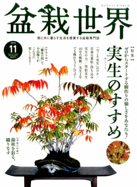 盆栽世界 2015年11月号 (発売日2015年10月03日) 表紙