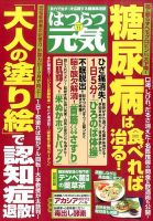 はつらつ元気 2015年11月号 (発売日2015年10月02日) 表紙