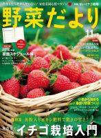 野菜だより 2015年11月号 (発売日2015年10月03日) 表紙