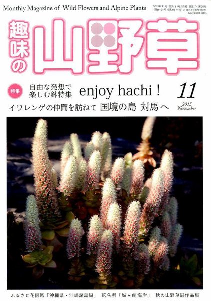 趣味の山野草 2015年11月号 (発売日2015年10月10日) 表紙