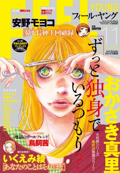 フィールヤング 2015年11月号 (発売日2015年10月08日) 表紙