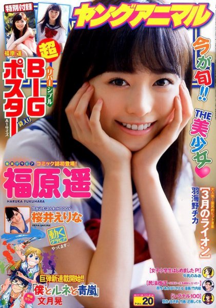 ヤングアニマル 2015年10/23号 (発売日2015年10月09日) 表紙