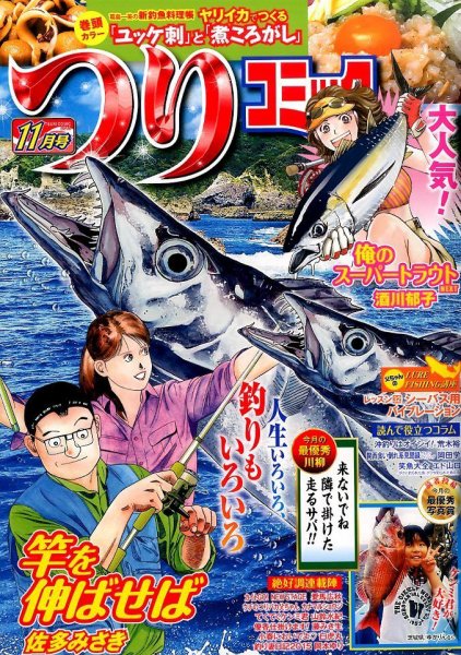 つりコミック 2015年11月号 (発売日2015年10月10日) 表紙