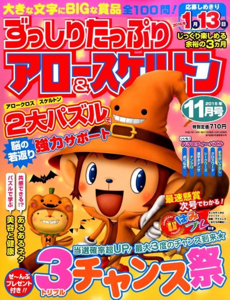 ずっしりたっぷりアロー＆スケルトン 2015年11月号 (発売日2015年10月14日) 表紙