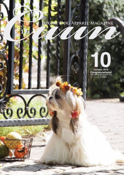 Cuun（クーン） 2015年10月号 (発売日2015年10月10日) 表紙