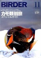 BIRDER（バーダー） 2015年11月号 表紙