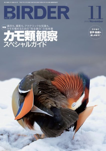 BIRDER（バーダー） 2015年11月号 (発売日2015年10月16日) 表紙