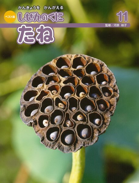 しぜんのくに 11月号 (発売日2015年10月20日) 表紙