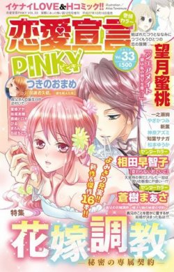恋愛宣言ピンキー Vol.33 (発売日2015年10月16日) 表紙