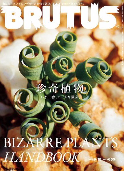 BRUTUS(ブルータス) No.808 (発売日2015年09月01日) 表紙