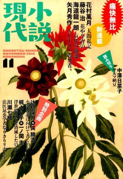 小説現代 2015年11月号 (発売日2015年10月22日) 表紙