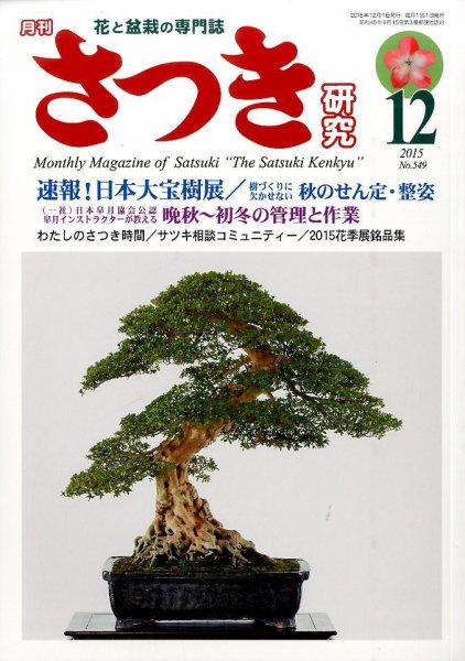 さつき研究 2015年12月号 (発売日2015年11月05日) 表紙