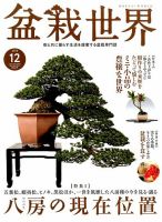 盆栽世界 2015年12月号 (発売日2015年11月04日) 表紙