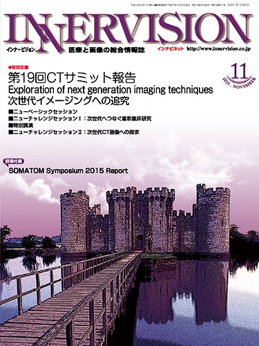 INNERVISION（インナービジョン） 2015年11月号 (発売日2015年11月01日) 表紙