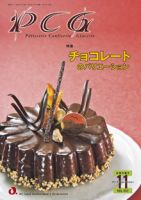 PCG（ピーシージー） VOL.552 表紙