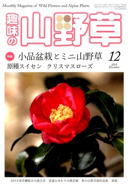 趣味の山野草 2015年12月号 (発売日2015年11月12日) 表紙