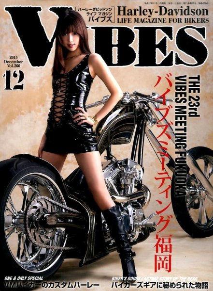 VIBES（バイブズ） 2015年12月号 (発売日2015年11月11日) 表紙