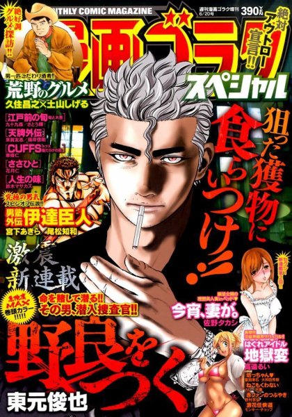 増刊 週刊漫画ゴラク 2015年05月08日発売号 表紙