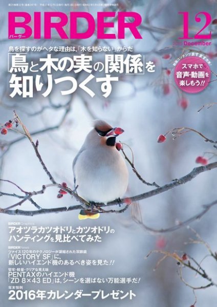 BIRDER（バーダー） 2015年12月号 (発売日2015年11月16日) 表紙