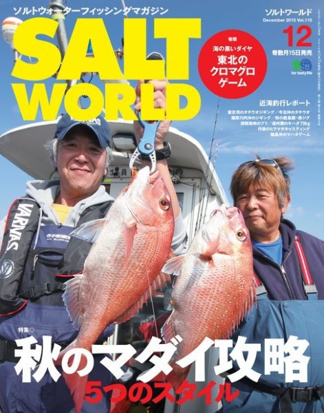 SALT WORLD（ソルトワールド） 2015年12月号 (発売日2015年11月15日) 表紙