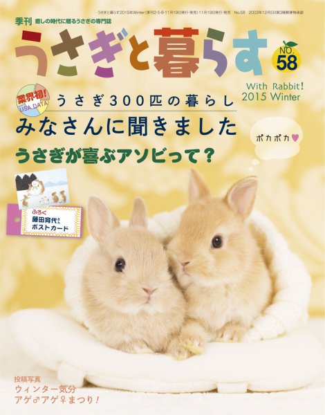 うさぎと暮らす 2016年1月号 (発売日2015年11月19日) 表紙