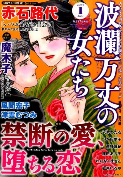 波乱万丈の女たち 2016年1月号 (発売日2015年11月17日) 表紙
